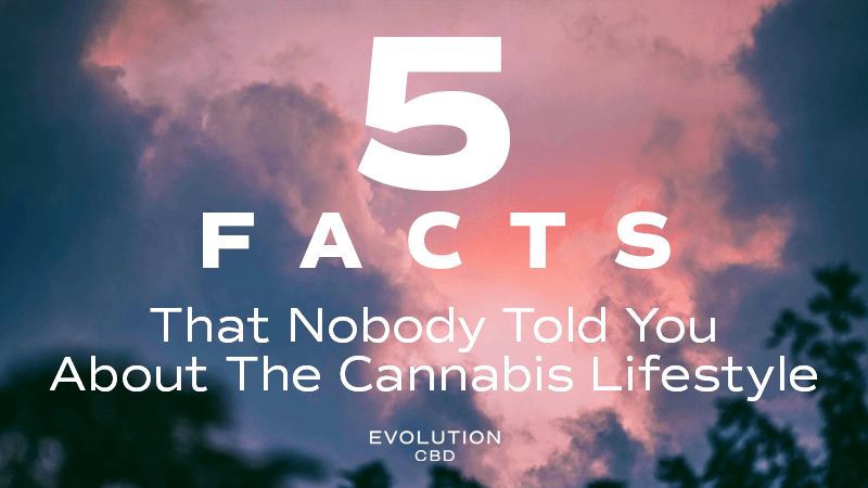 5 Facts That Nobody Told You About The Cannabis Lifestyle